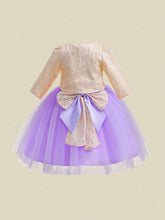 Young Girls 3D Floral Lace Mesh Tutu Dress With Bow Decor